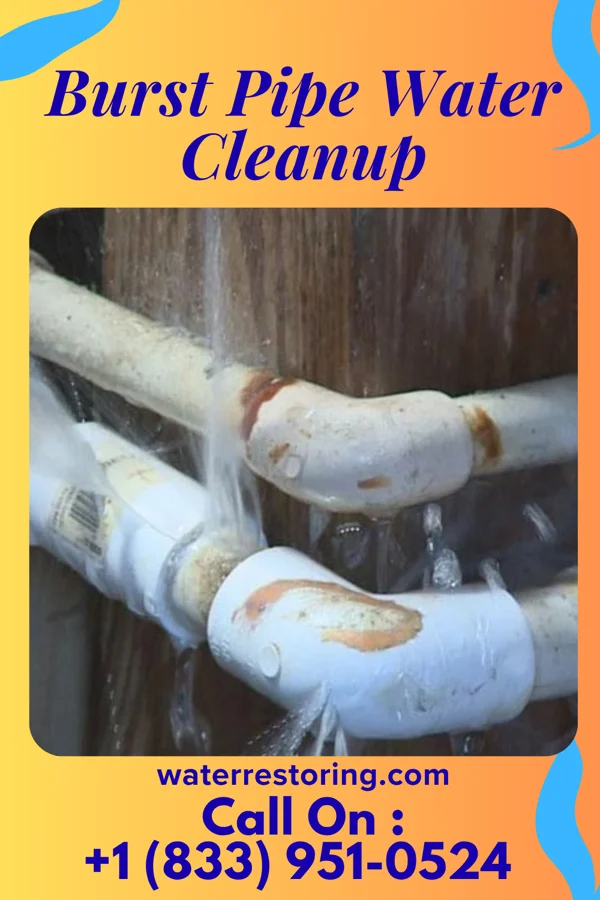 Burst Pipe Water Cleanup in South Pasadena, FL