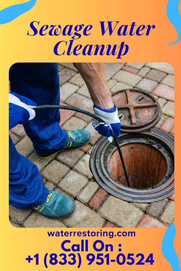 Sewage Water Cleanup in South Pasadena, FL